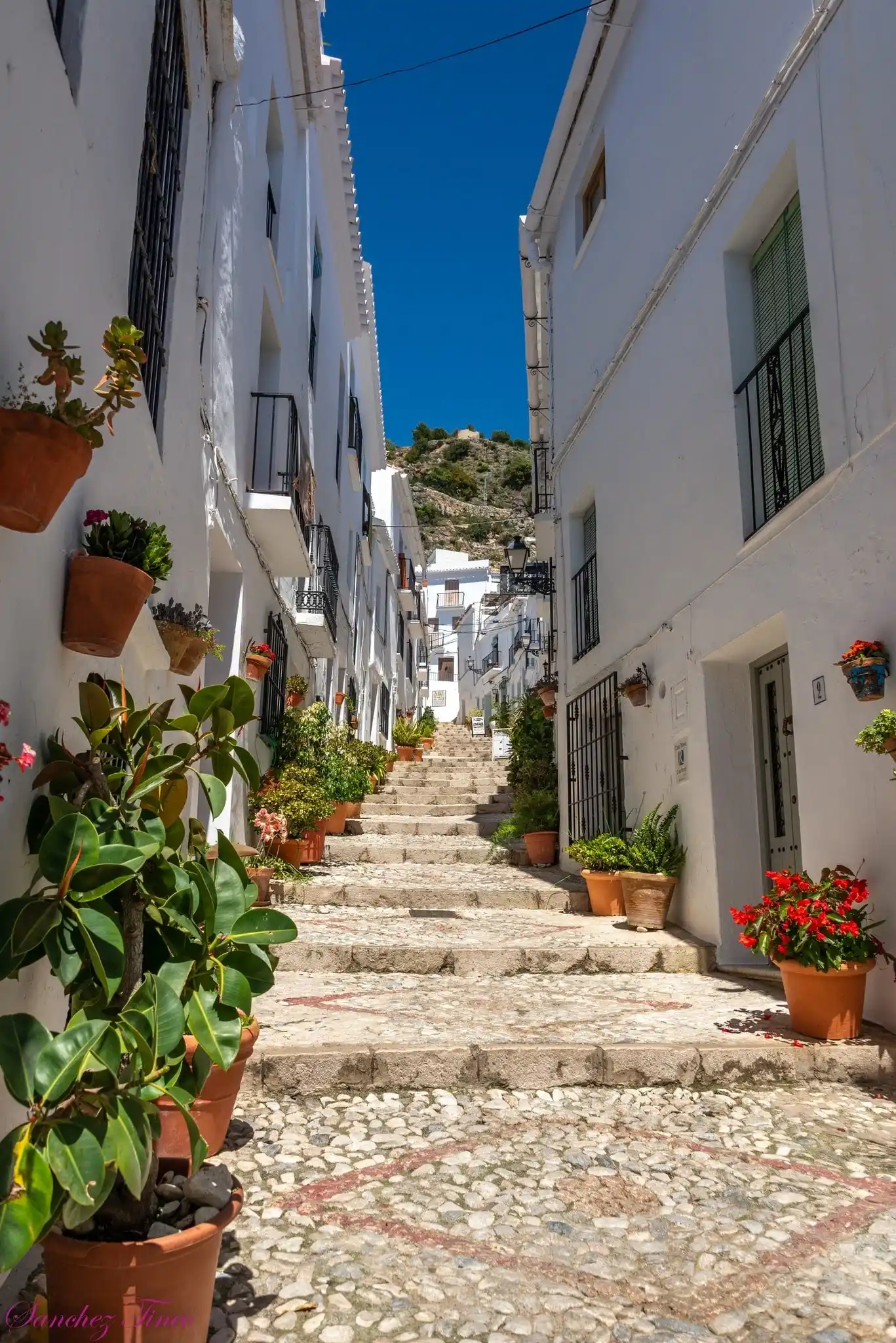 frigiliana-el-zacatín